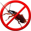 bug-1